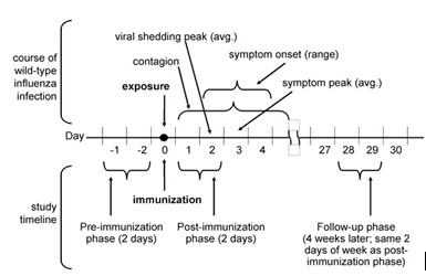 ScreenHunter_119 Jan. 01 11.03