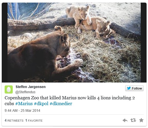 ScreenHunter_152 Mar. 25 20.28